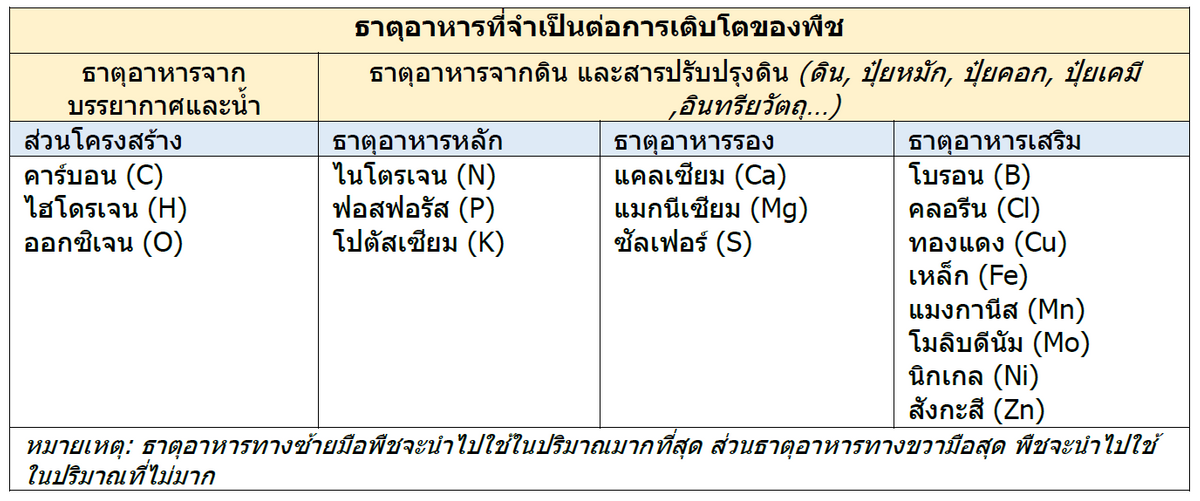 AN 29 Nutrient Table 1 THAI